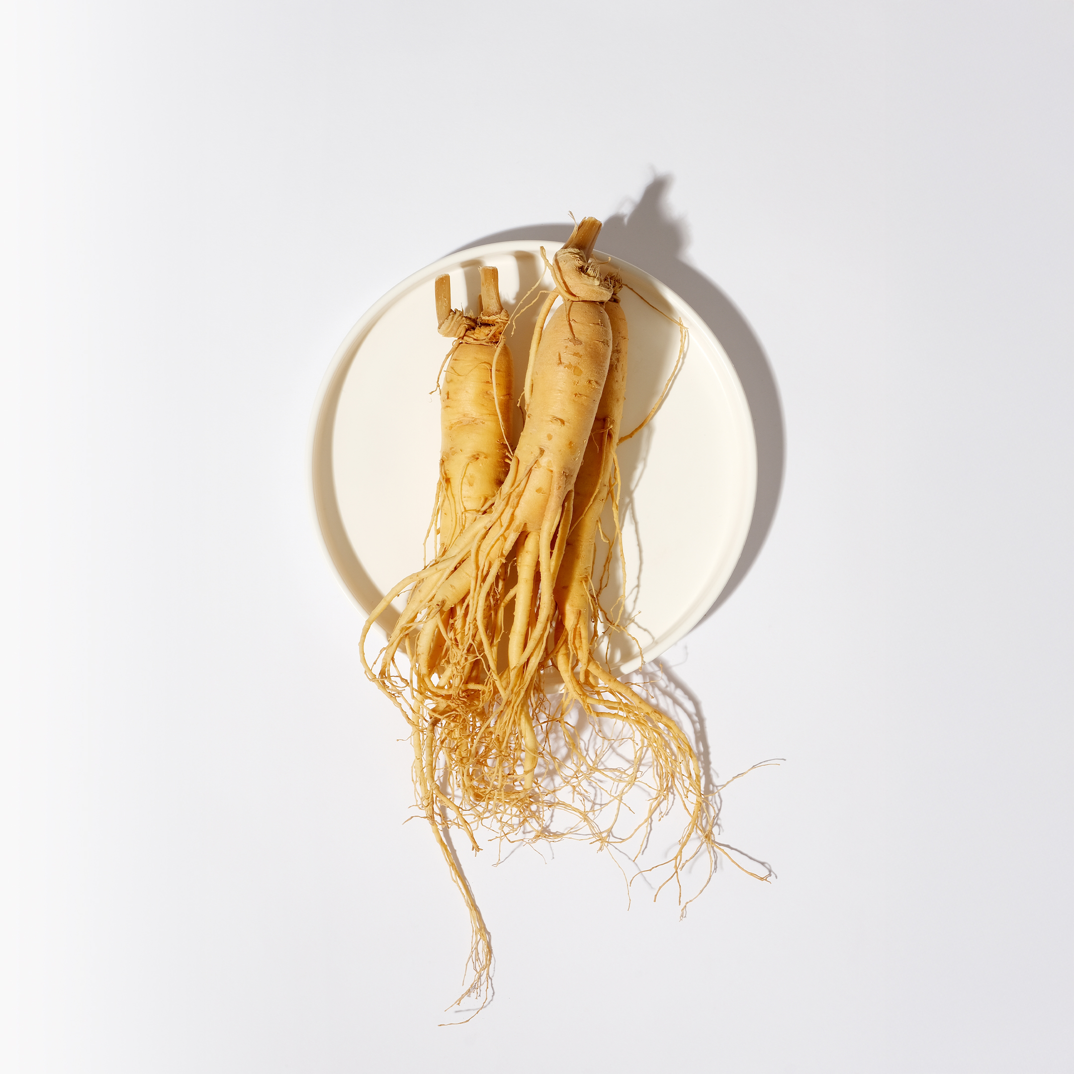 ginseng